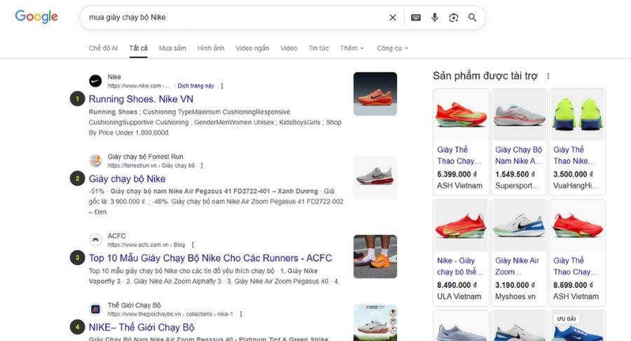 Phân tích thủ công trang kết quả tìm kiếm