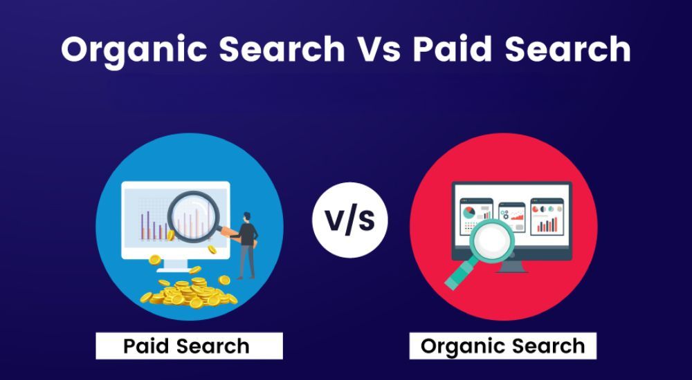 Sự khác biệt giữa organic search và paid search