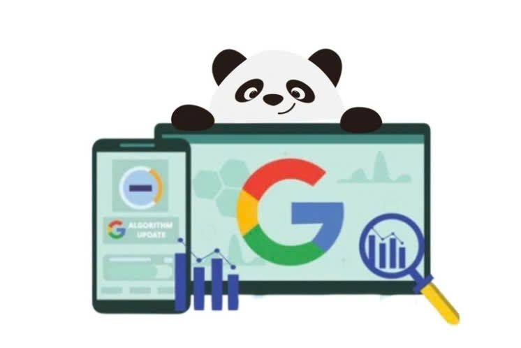 Thứ hạng từ khóa bị mất vị trí