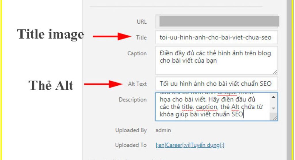 Tối ưu multimedia bằng Alt-text