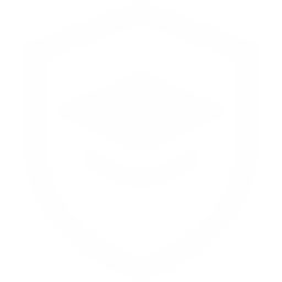 Zalo Icon