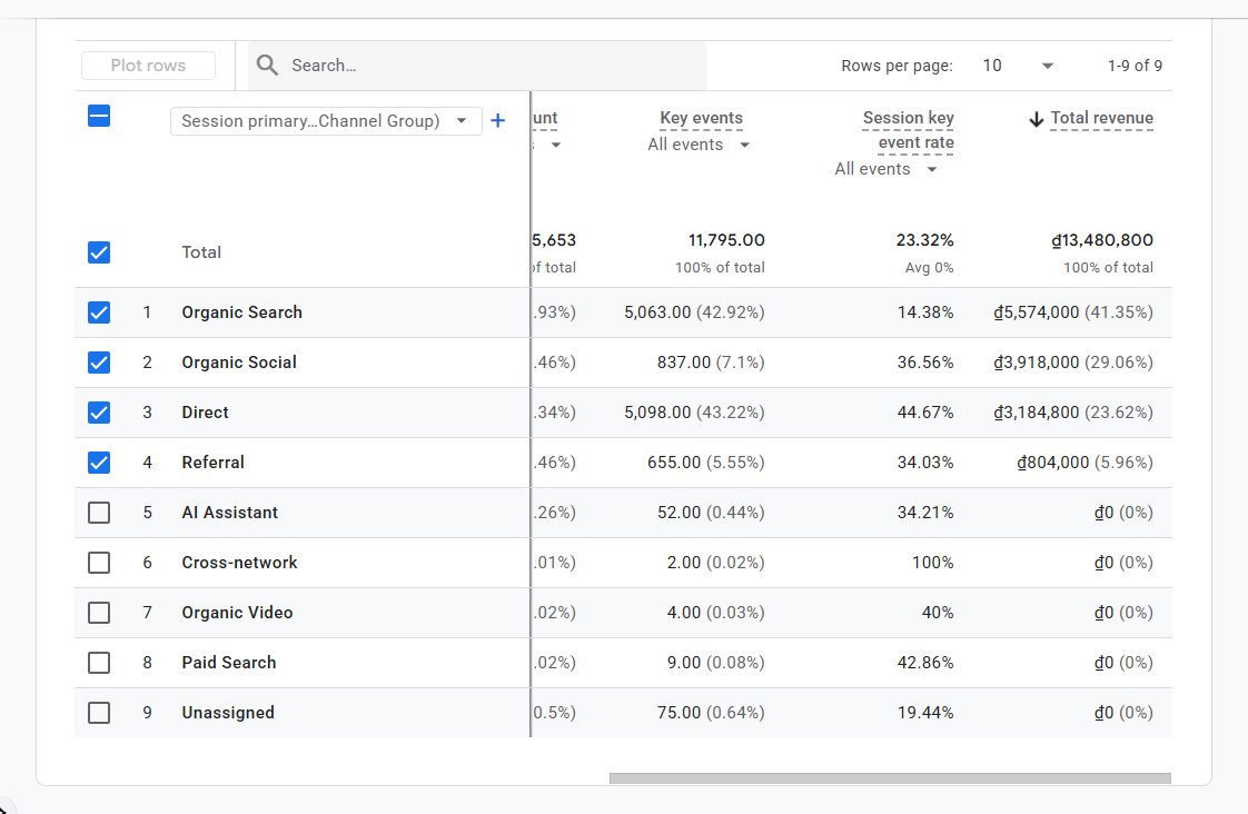 Revenue từ Organic Search SEO của 1 dự án bán dịch vụ tại Việt Nam chiếm 42% Total Revenue